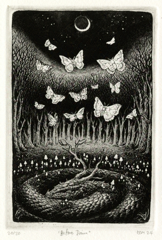 Before Dawn